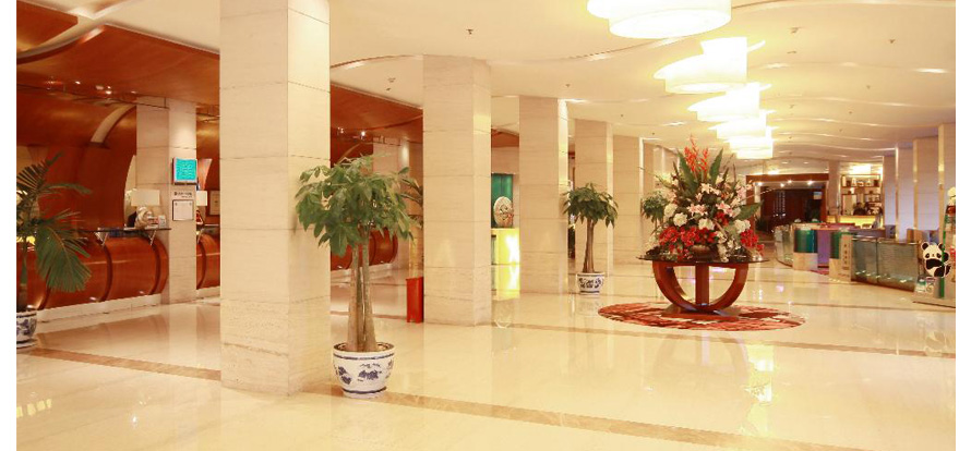 20120906cgal02005.jpg
